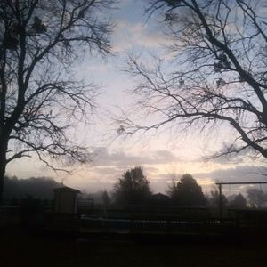 Meet your Posher, Bobbie